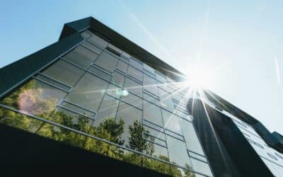 Transition Plan: Turning challenges into Opportunities for Your Business