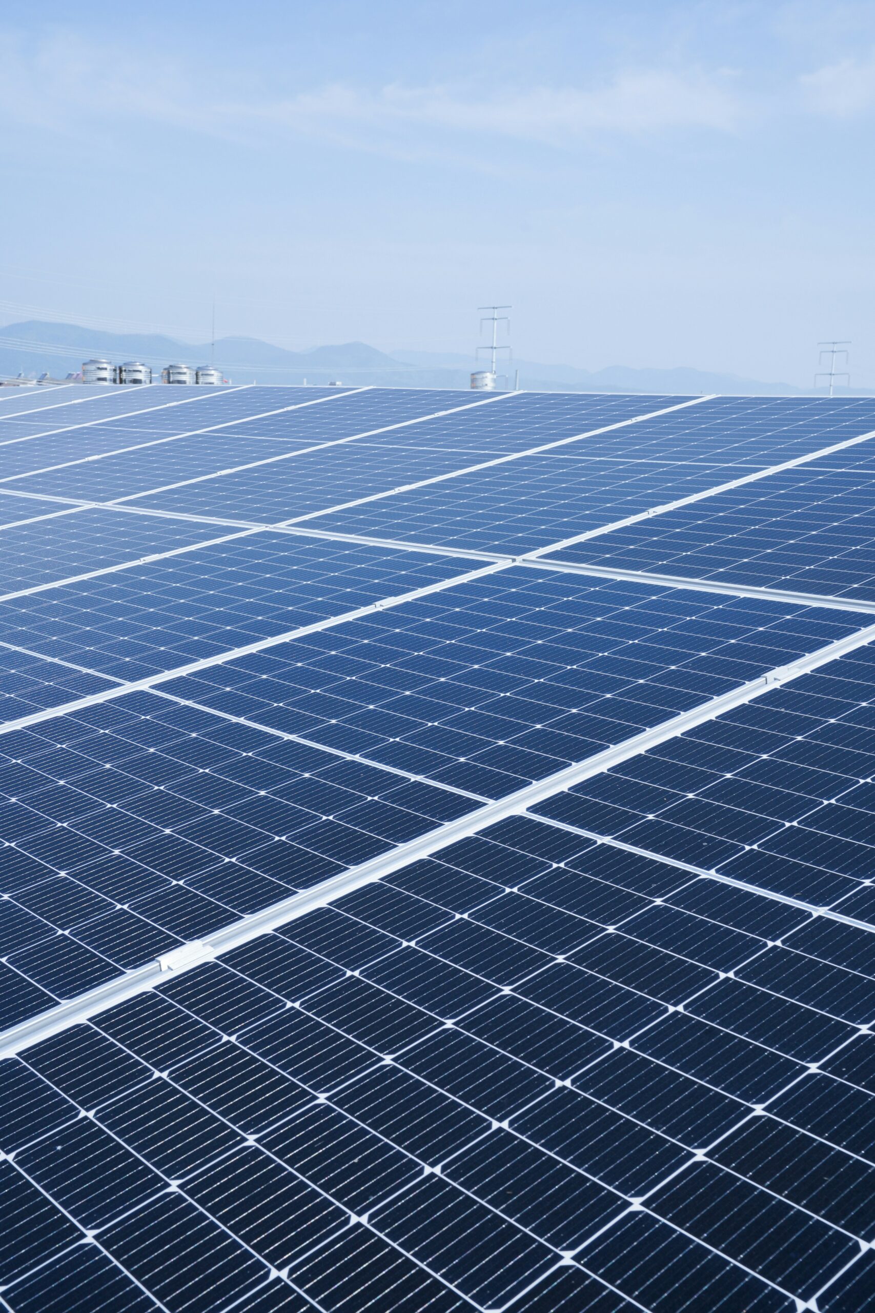 équipe PINK STRATEGY