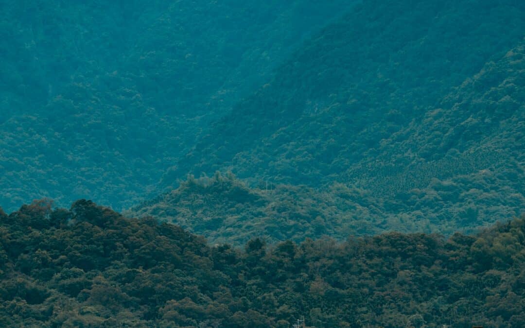 EPD : le standard international pour piloter votre performance environnementale