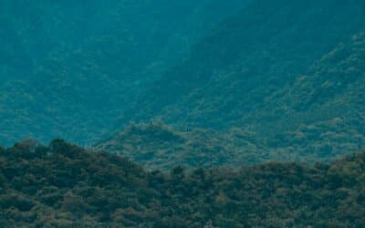 EPD : le standard international pour piloter votre performance environnementale